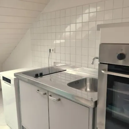 Sonnige In * フライブルク