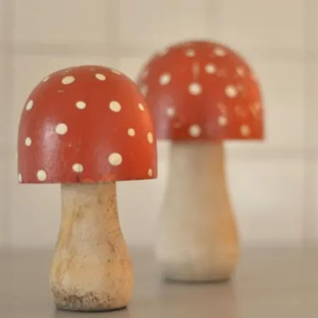 Sonnige In * Фрайбург