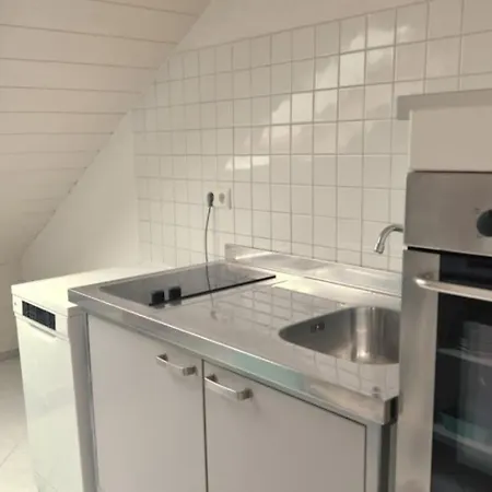 Sonnige In フライブルク