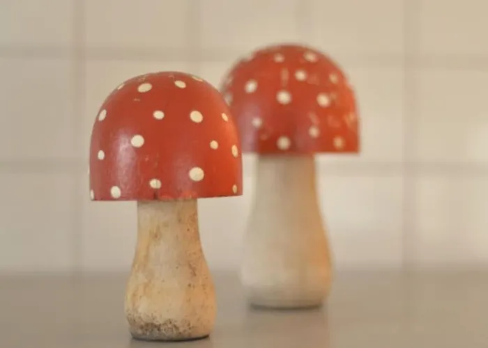 Sonnige In * פרייבורג